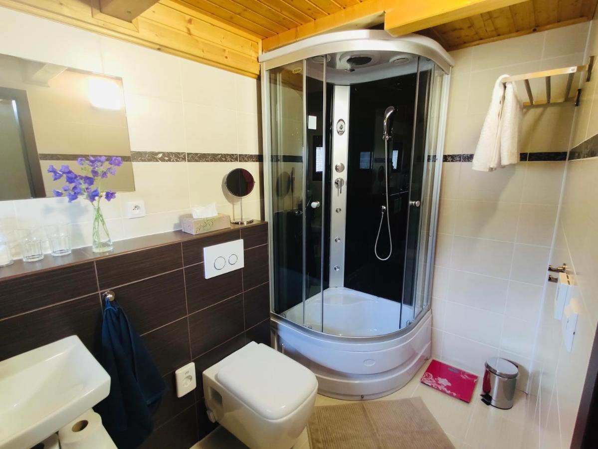 Grand Spa Holiday Home Sklene Teplice Bagian luar foto