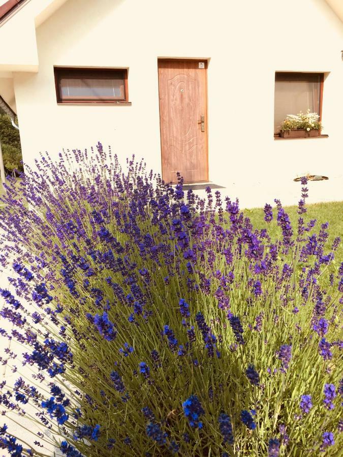 Grand Spa Holiday Home Sklene Teplice Bagian luar foto